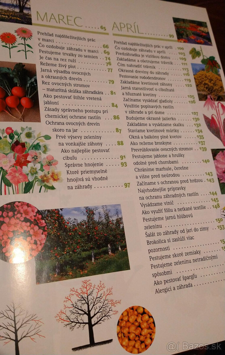 Radoslav Šrot - Rok v našej záhrade - 3