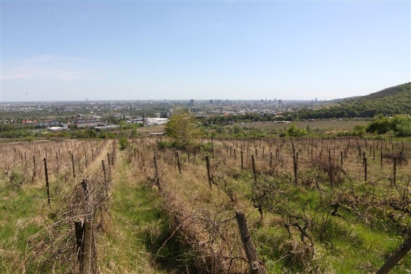 Predám vinohrad v Rači pri Peknej ceste - 3