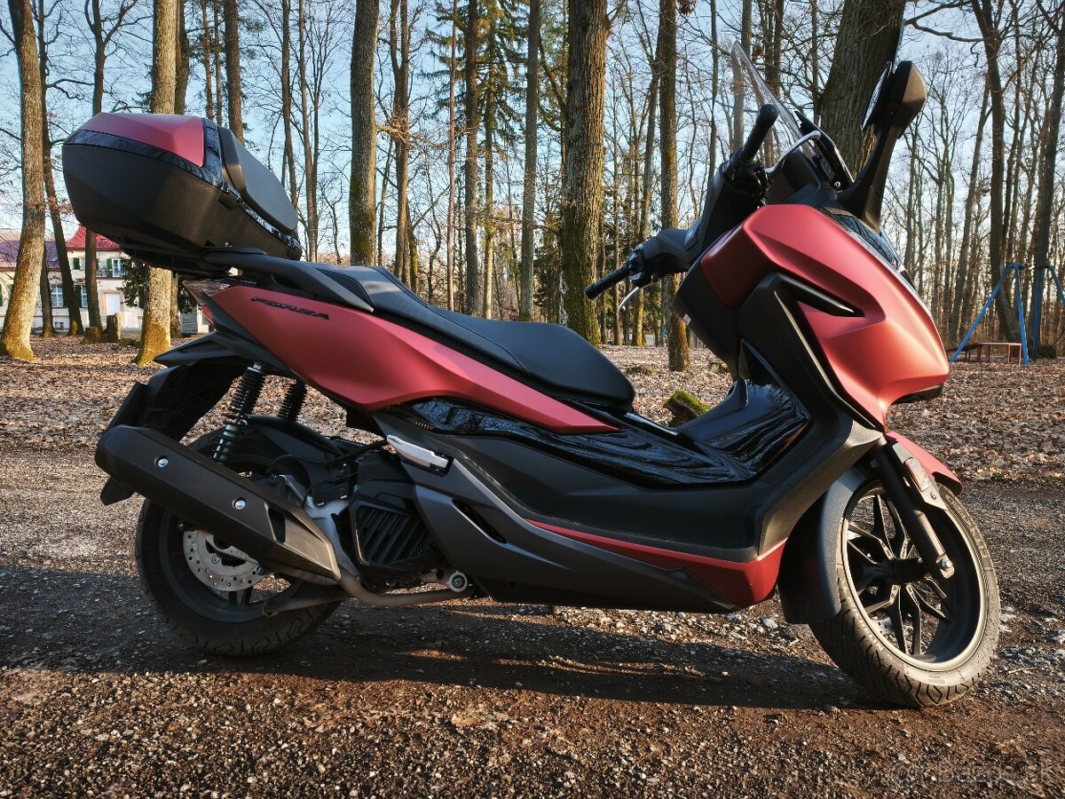 Honda Forza 125 cc - 3