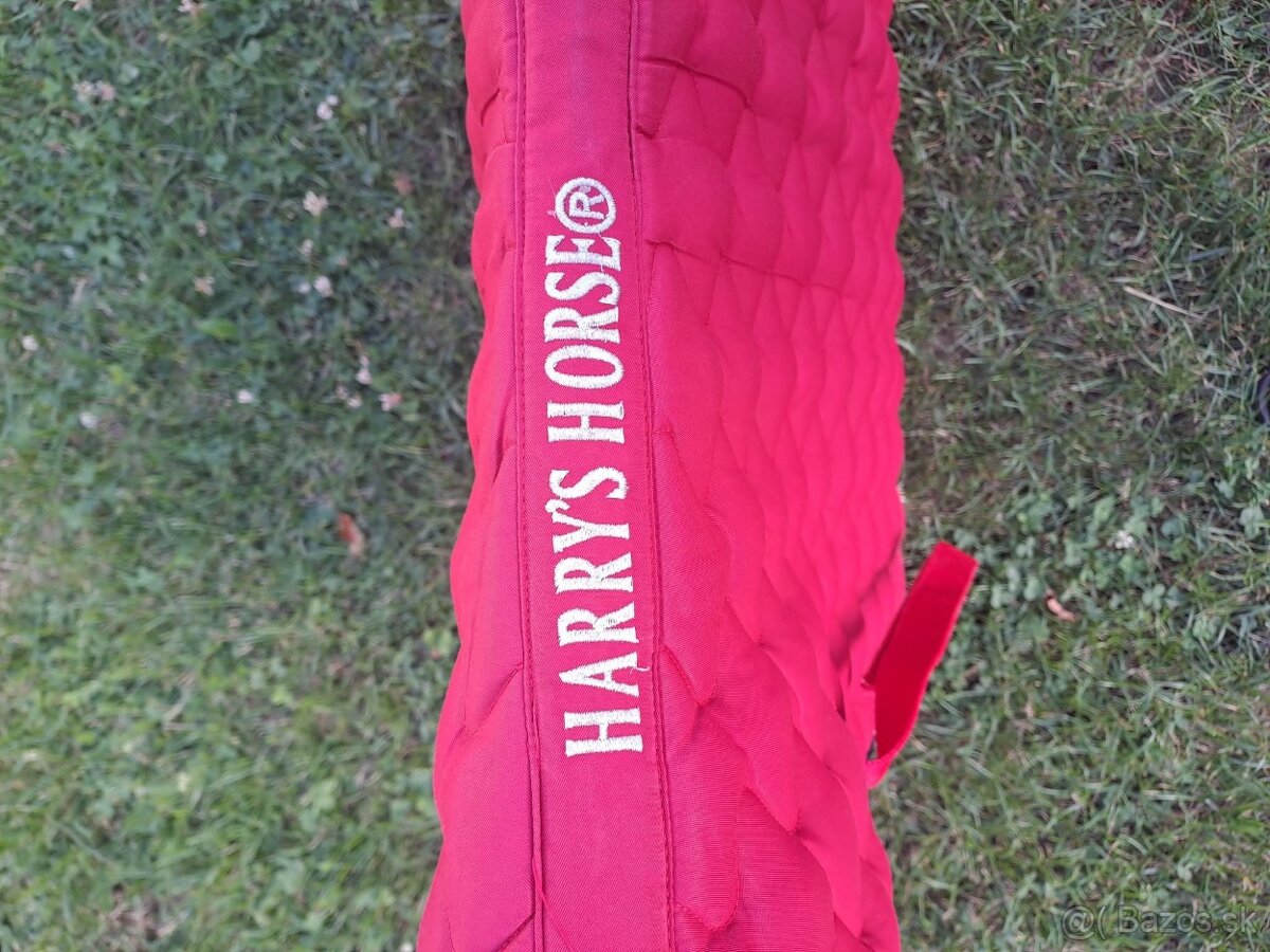 Anglická podsedlovka - 3