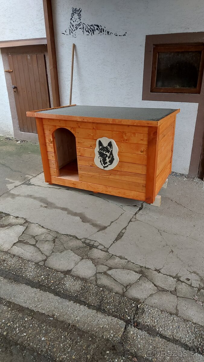 Búda pre psa - 3