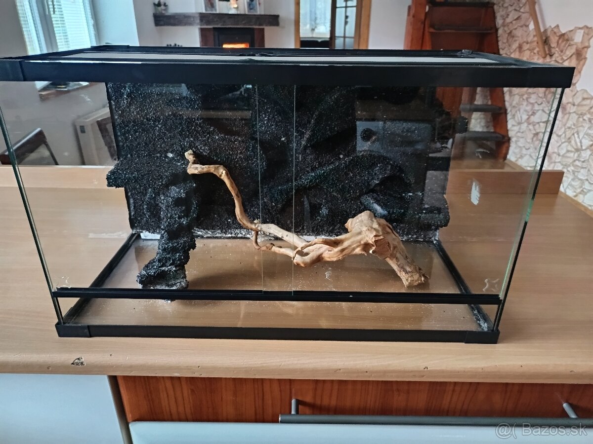 Terarium - 3