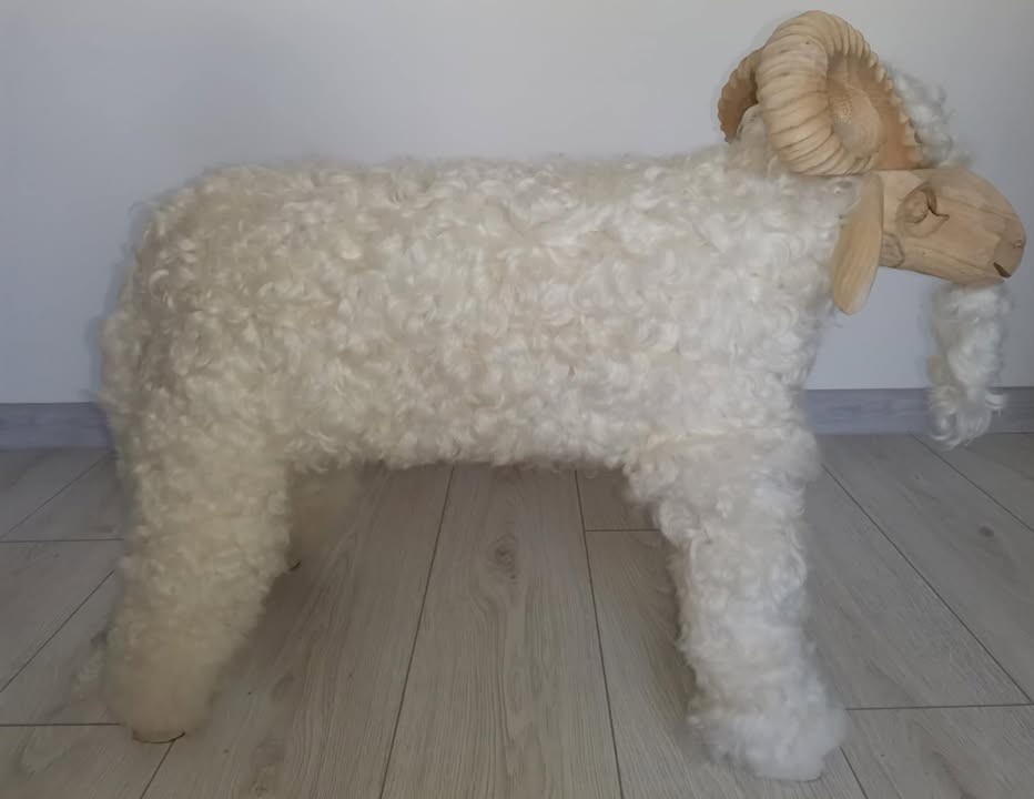 Stolička, baran - 3