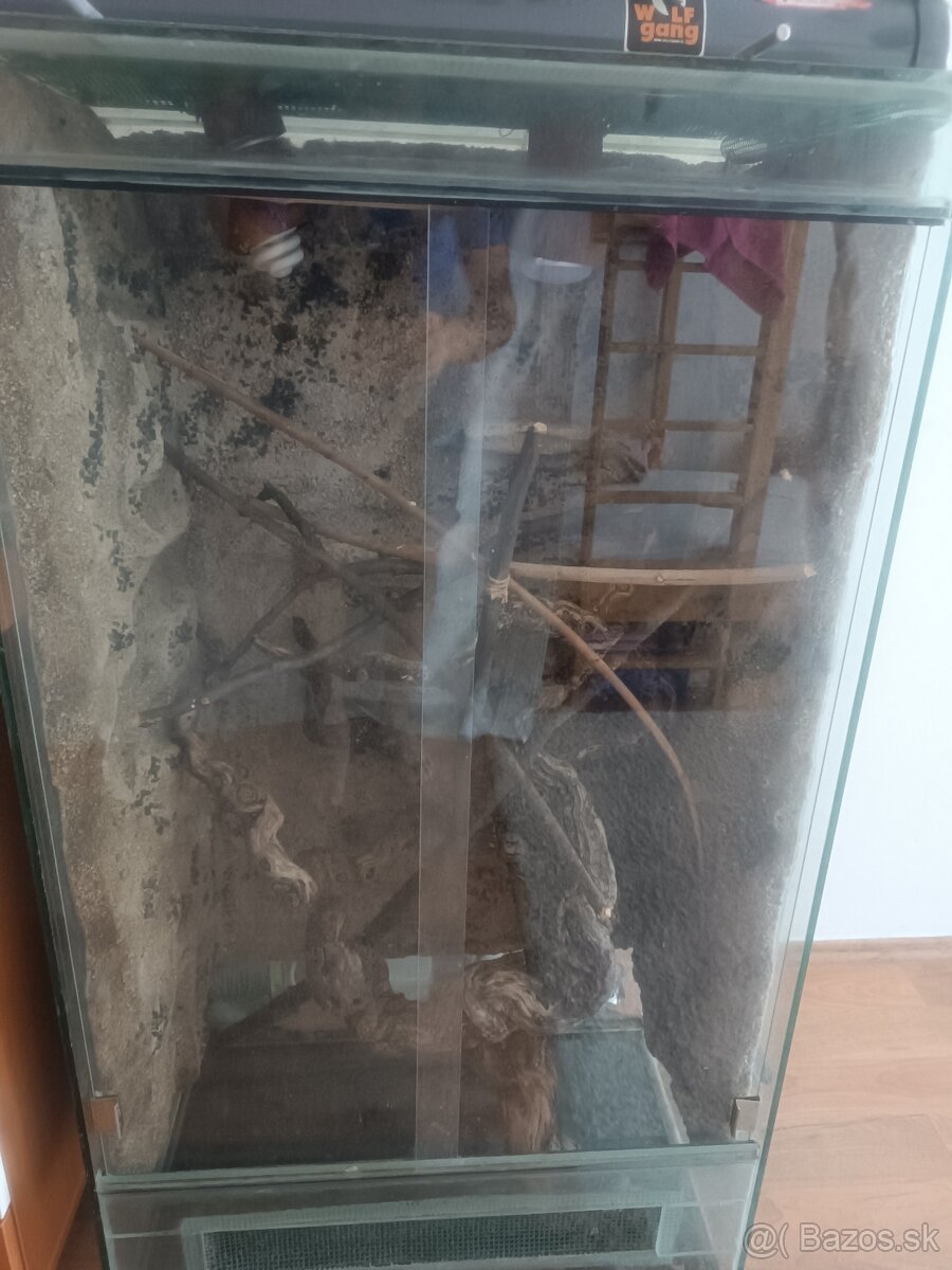 Terarium pre chameleóna - 3