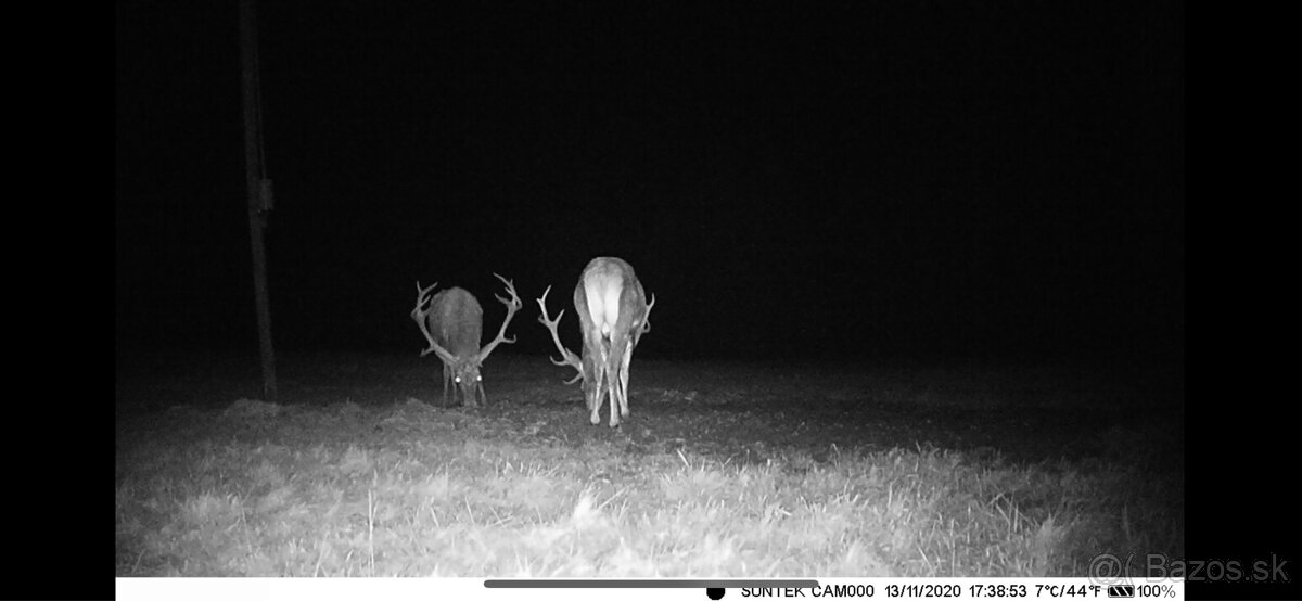 fotopasca mms suntek hc300,900,910,940,950,960 M/lte/pro/a - 3