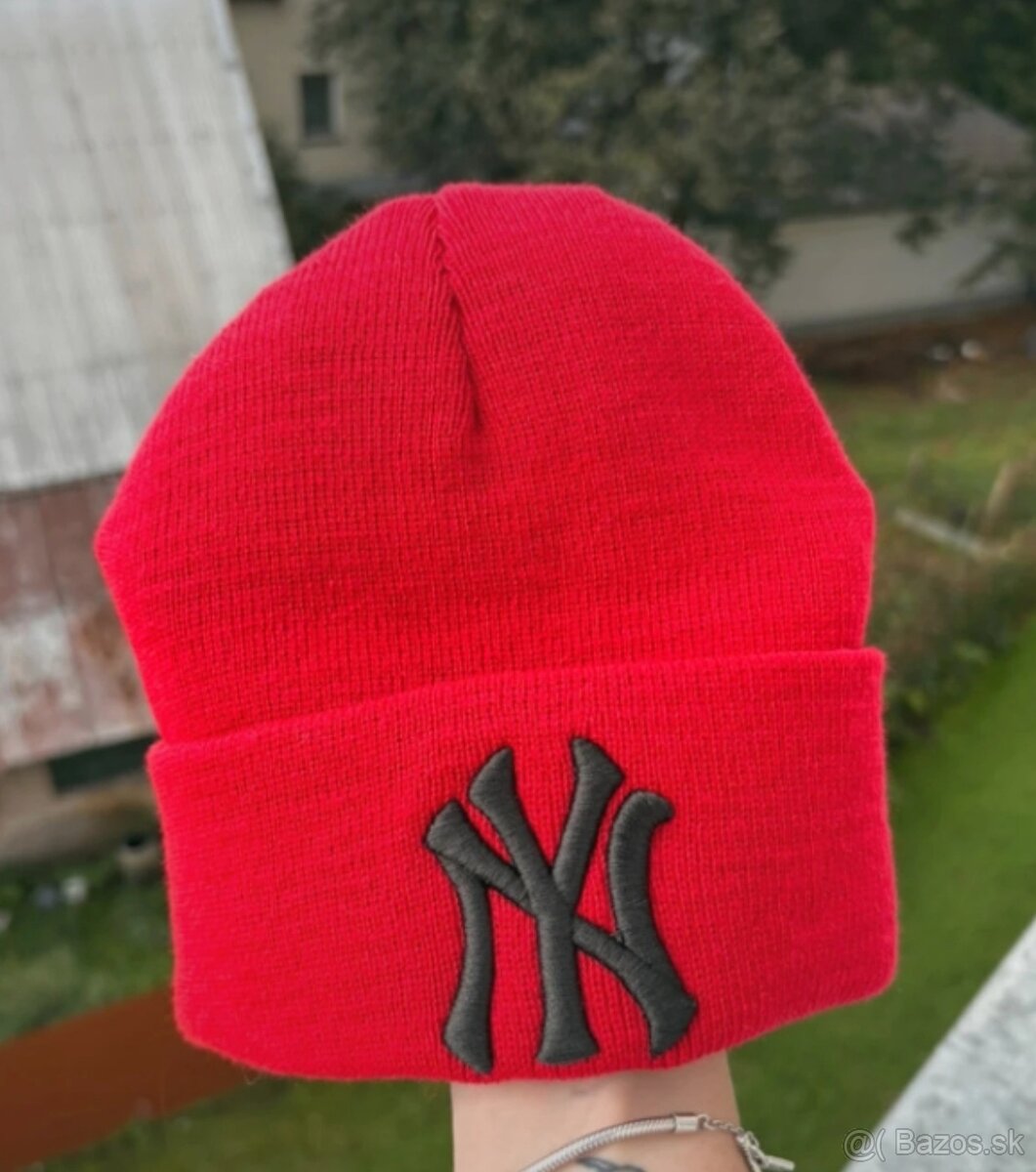 Zimná čiaoka NY - 3