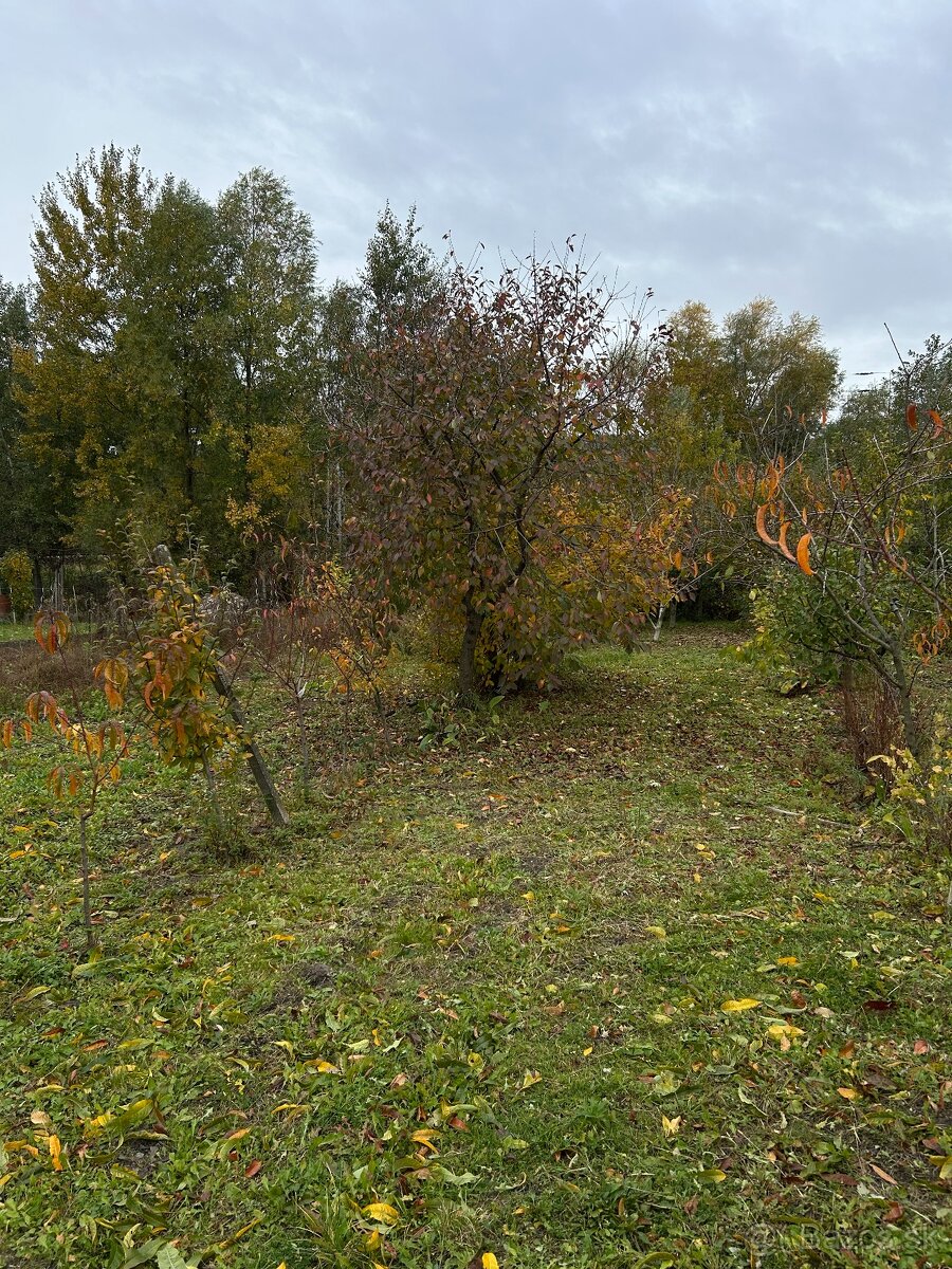 Záhrada vo Svätom Jure - 3