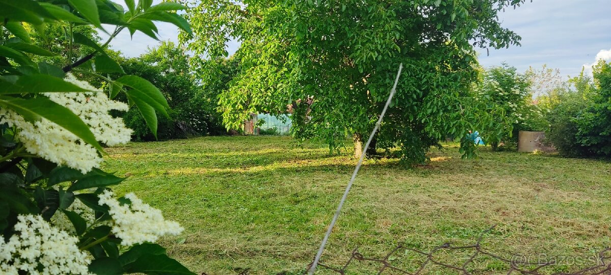 Pozemok Dolné Dubové - 3