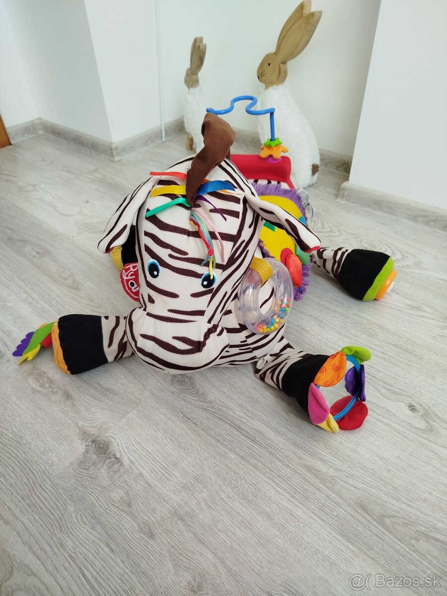 Zebra - 3