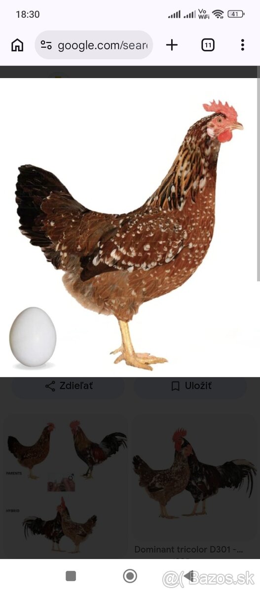 Kuriatka -kuričky - 3