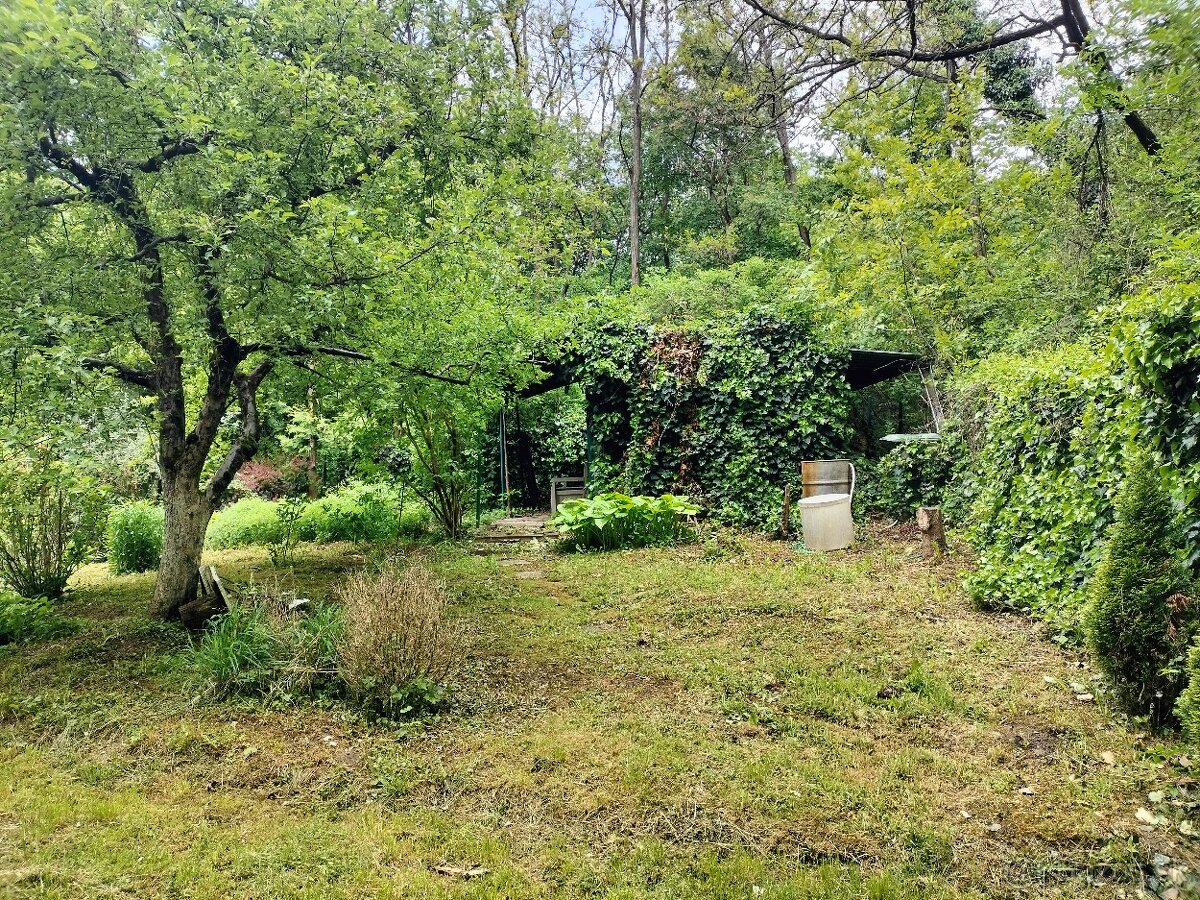 Na predaj záhrada Šípková Vyšné Opátske, znížená cena - 3