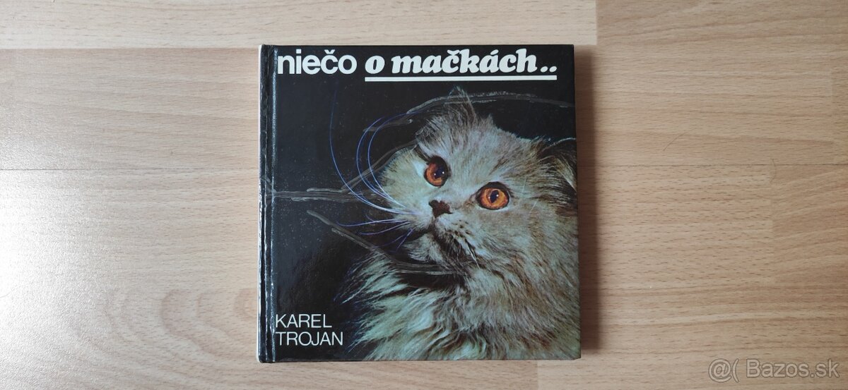 Pes, mačka - 3