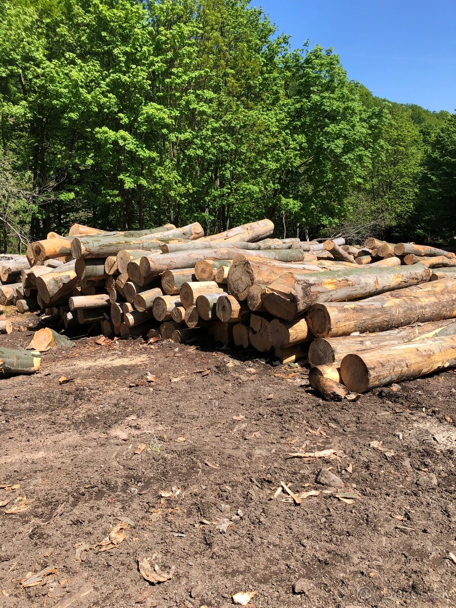 Predám palivove drevo buk jasen doprava 30km gratis - 3