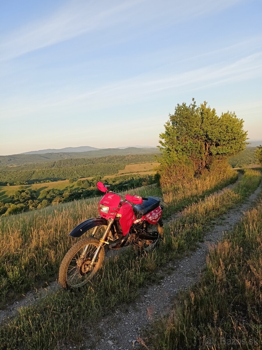 Predám Ostrí cros - 3