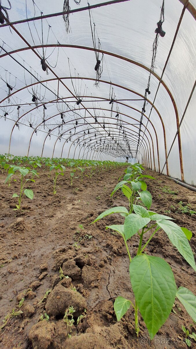 Fóliovník železná konštrukcia - 3