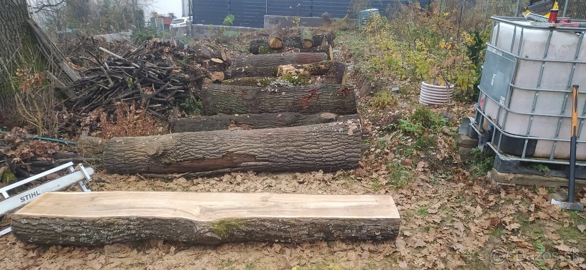 Priečne rezanie kmeňov stromu - 3