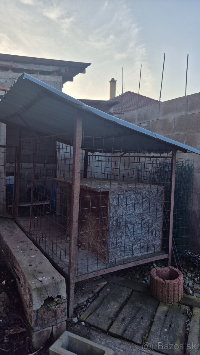 Voliera pre psa - 3