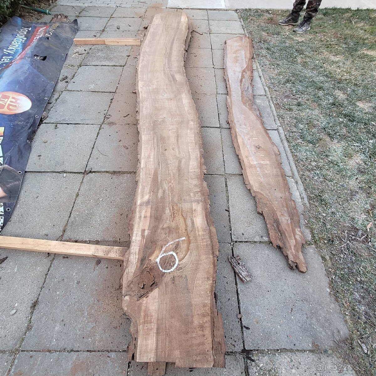 Predám fošne z orecha. - 3