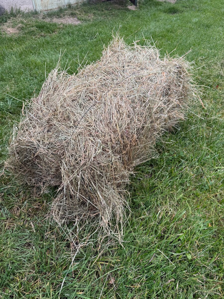 Seno malé balíky - 3