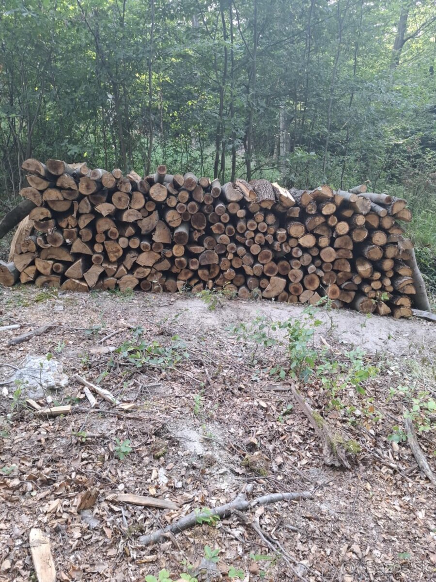 Palivové drevo Na predaj - 3