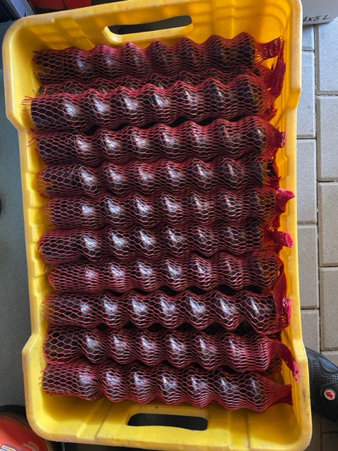 šnek D6-3 Blue Power - 3