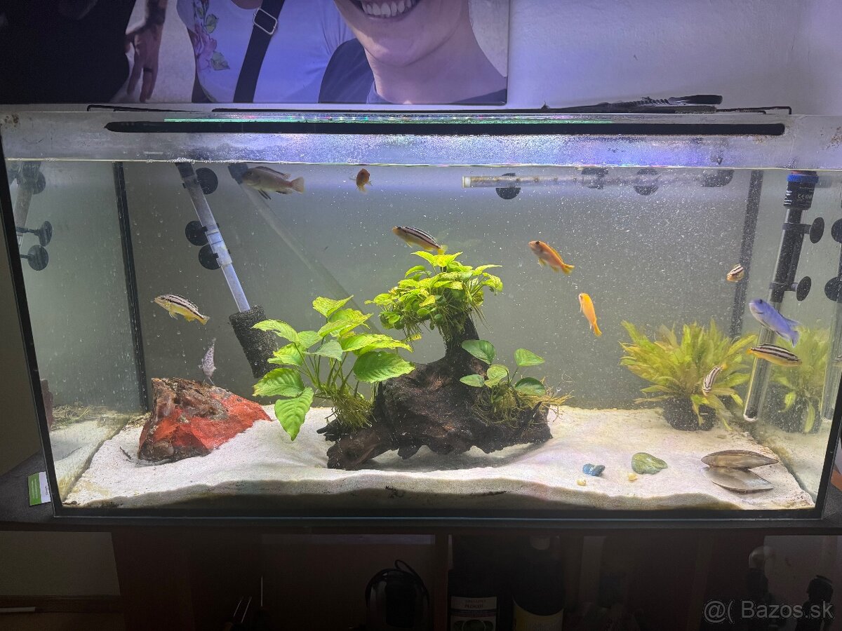 Predam 200 litrove akvarium - 3