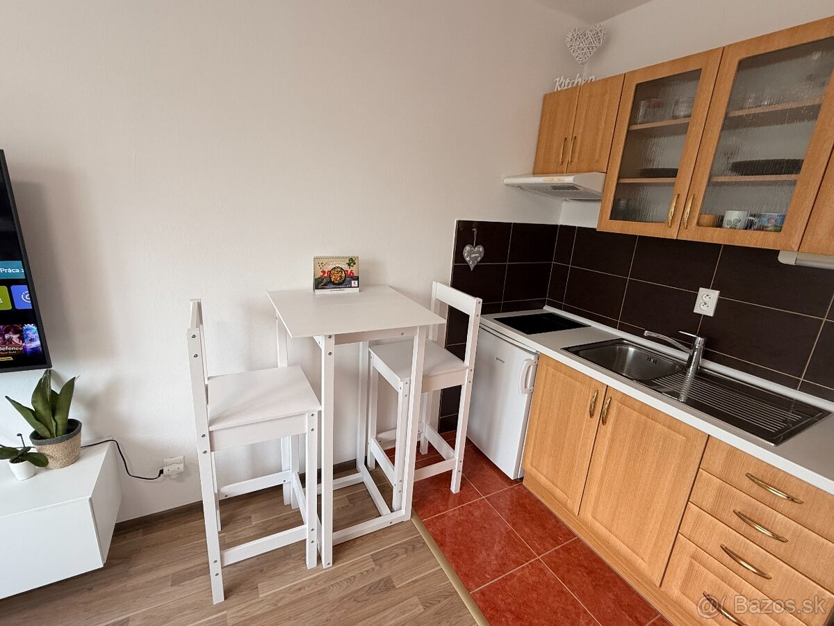Garsónka na prenájom Púchov - 3