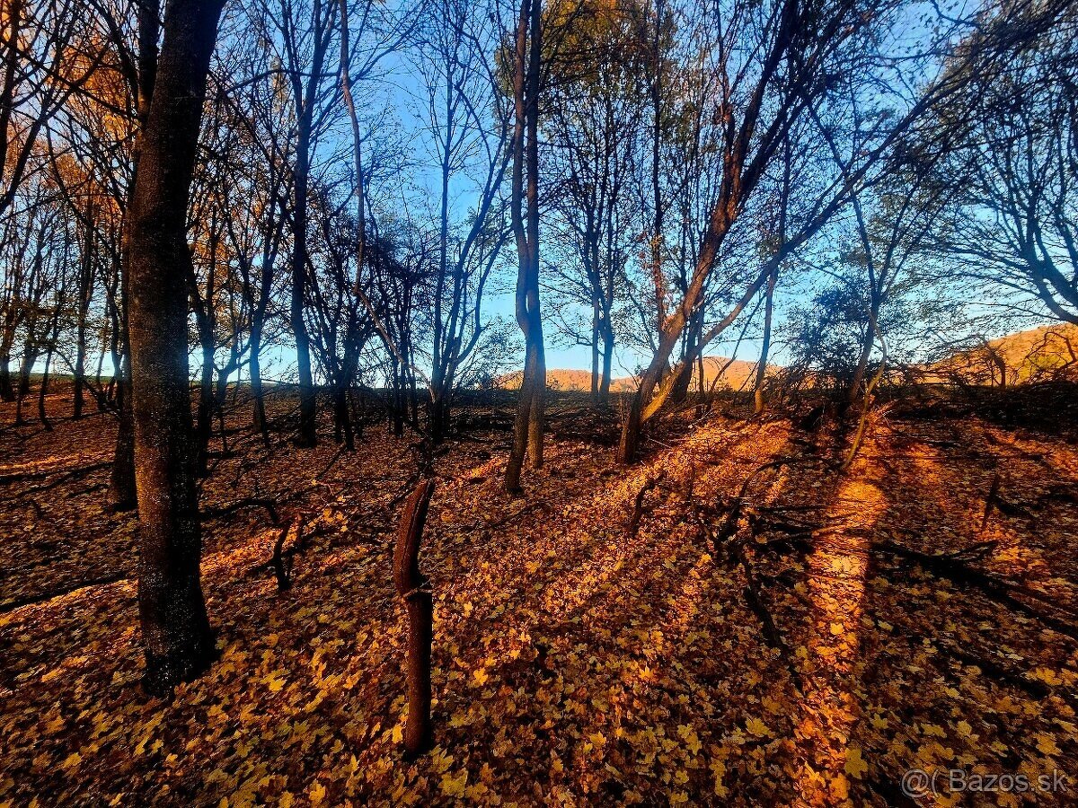 Pozemok na Prenčove - 3