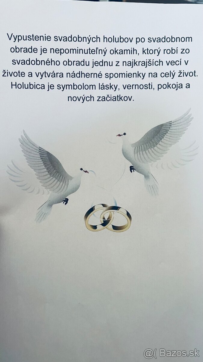 Svadobne holuby , holuby - 3