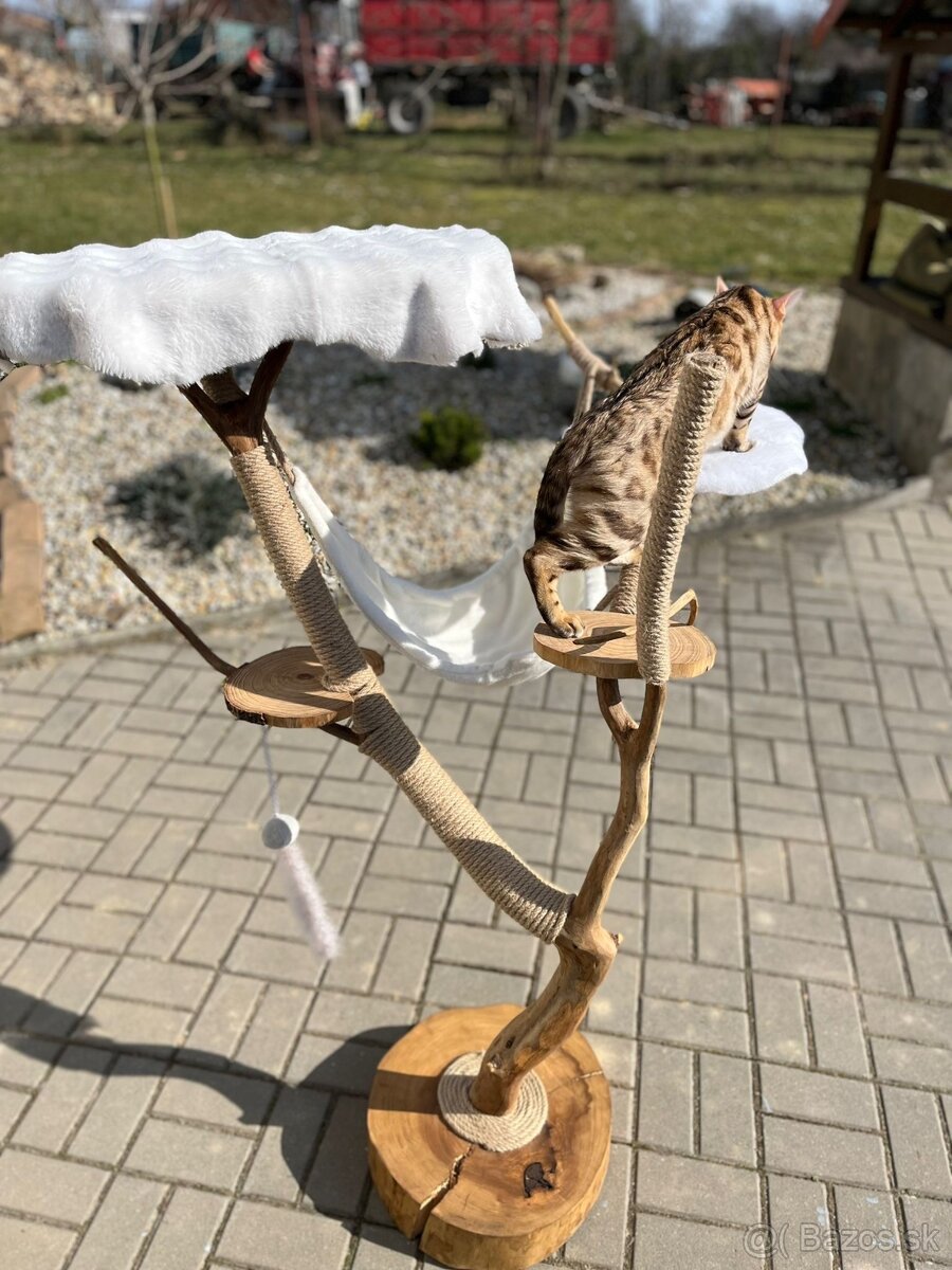 Mačací strom - 3