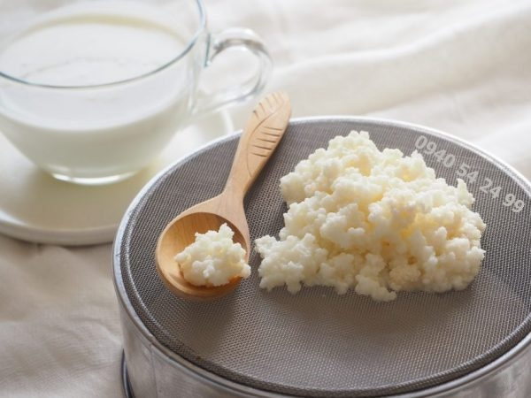 Domáci kefír - Tibetská huba - 3