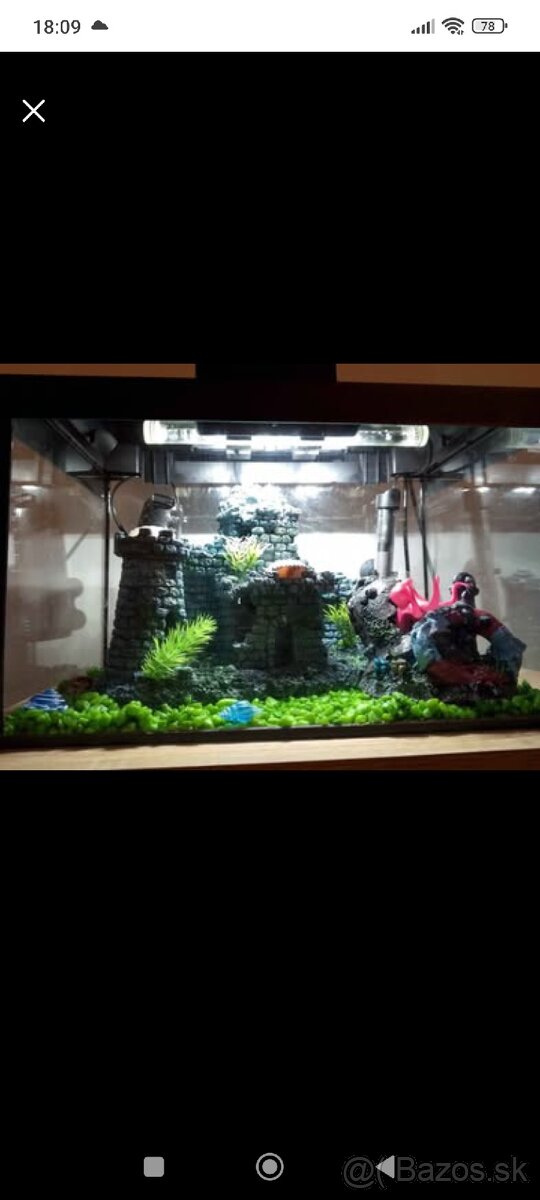 Akvário - 3
