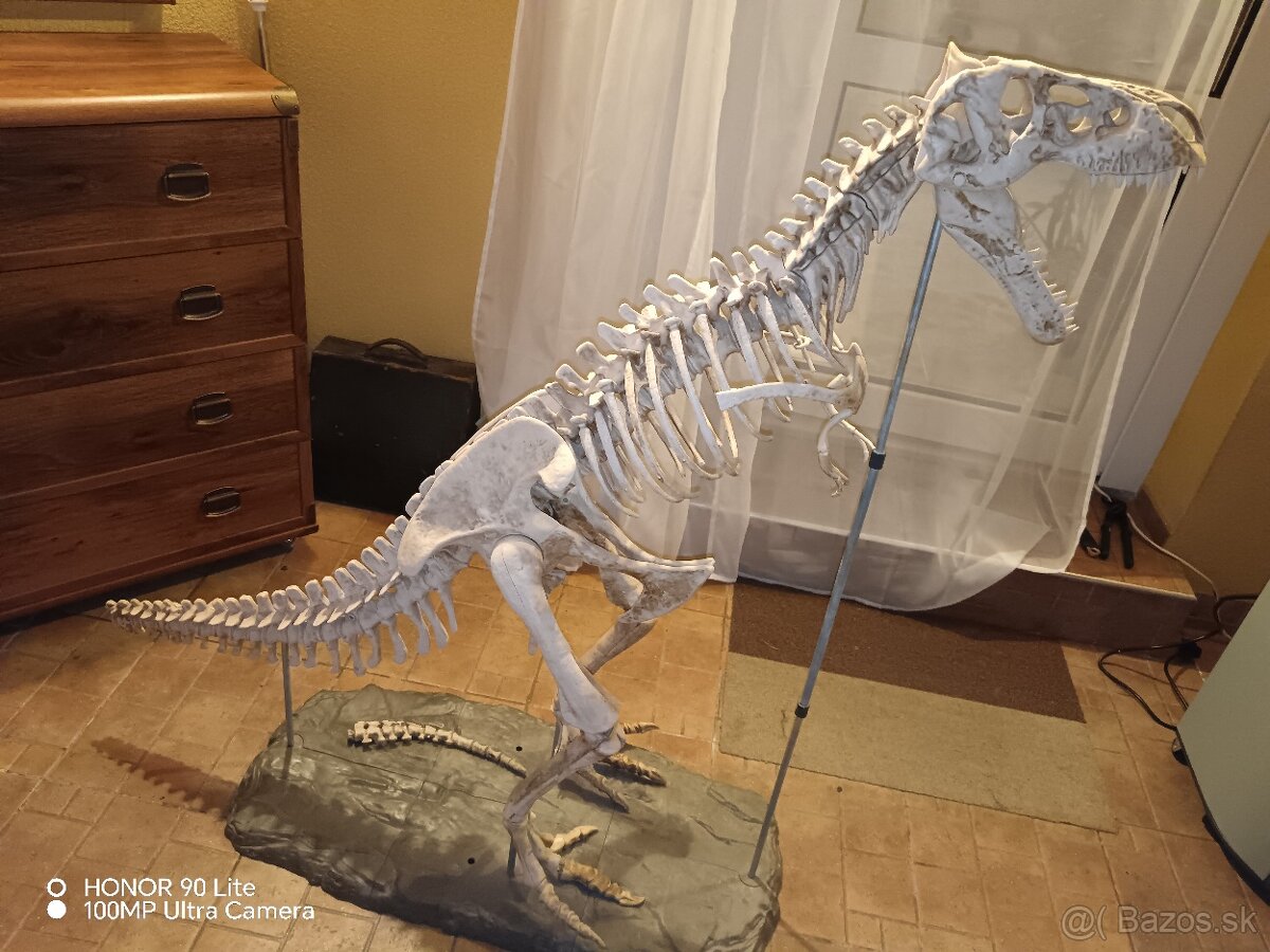 Tyranosaurus Rex - 3