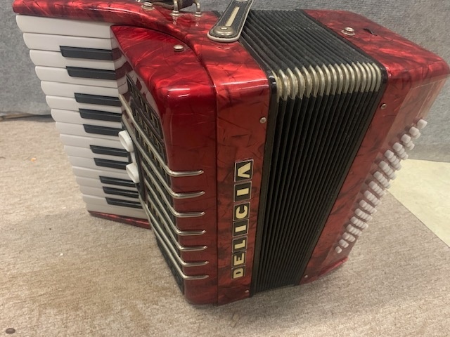 Akordeón Delicia - 3
