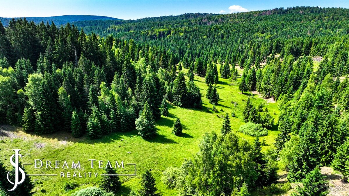 Stavebný pozemok 2.2ha v krásnom prostredí Látky okr. Detva - 3