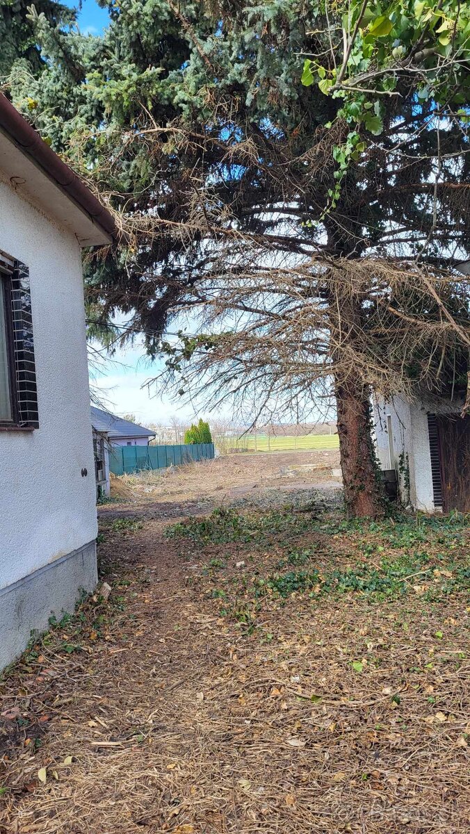 Na predaj Rd Ivanka pri Nitre Investičné - 3