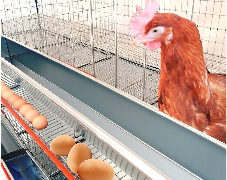 Trojposchodový stojan na chov nosníc - 3