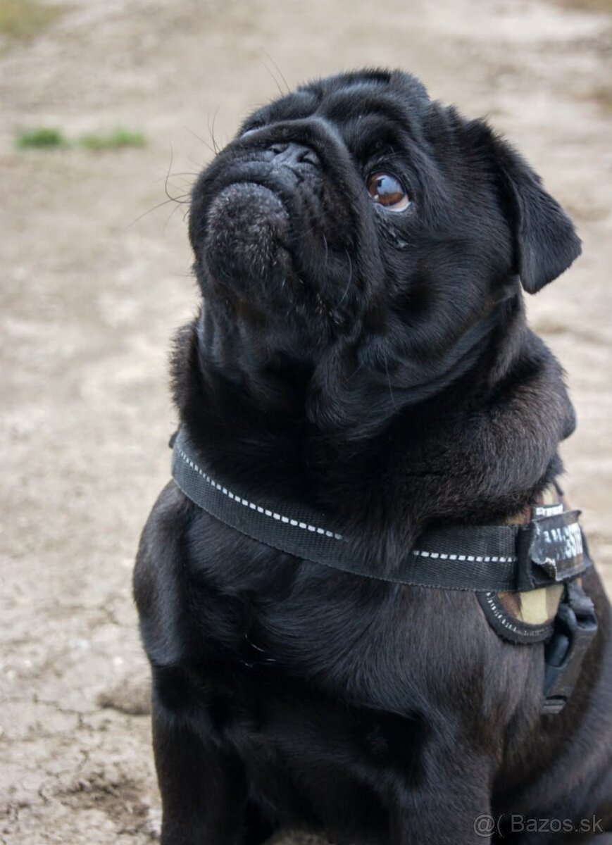 MOPS s PP - 3