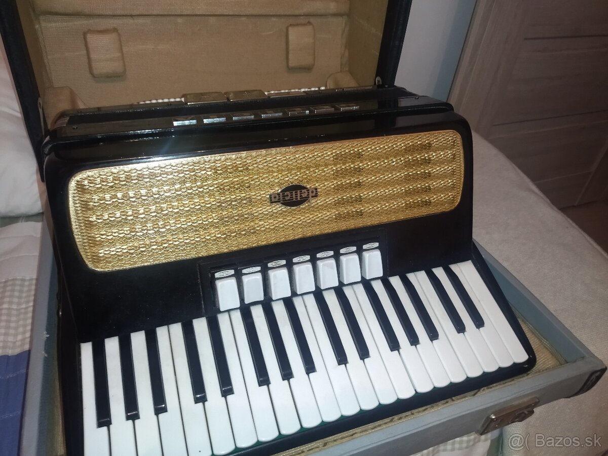 Harmonika Carmen Delicia - 3