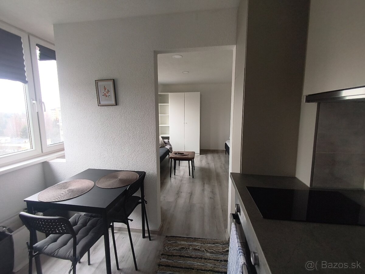Jednoizbový byt - Martin - 3