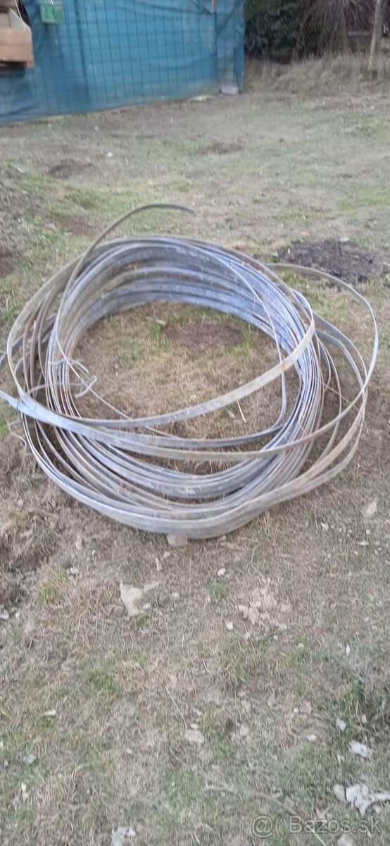 Zemniaca pásovina - 3