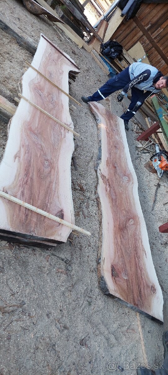 Platanove drevo. - 3