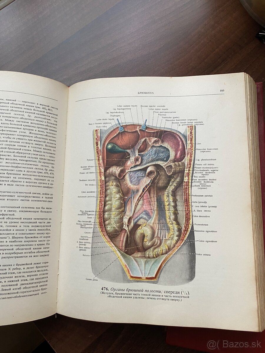 Atlas - Anatomia cloveka 2,3 - 3