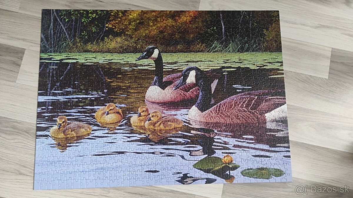 Rôzne Puzzle 1000 - 3