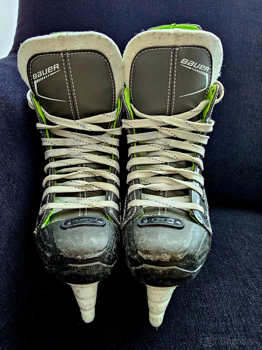 Bauer XLS - 3