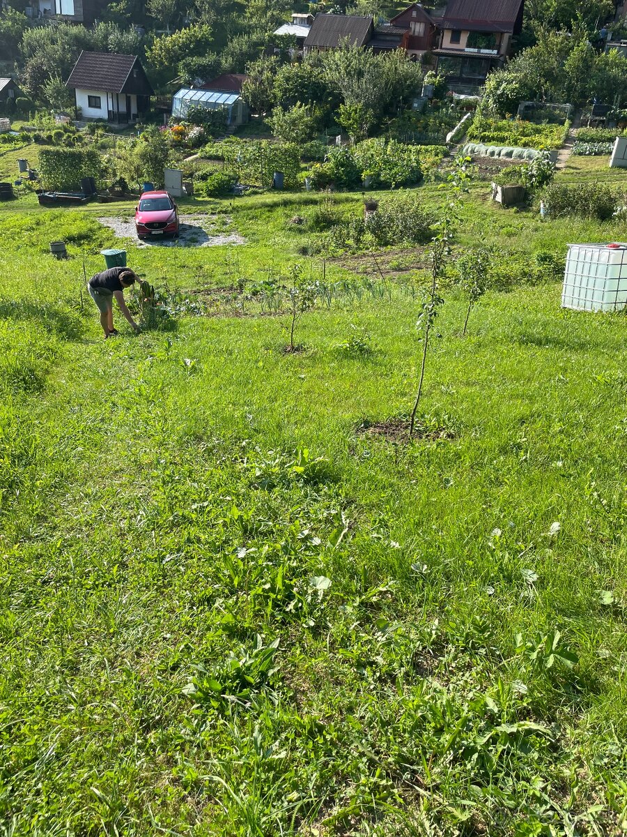 Záhrada na prenájom – Brezovec - 3