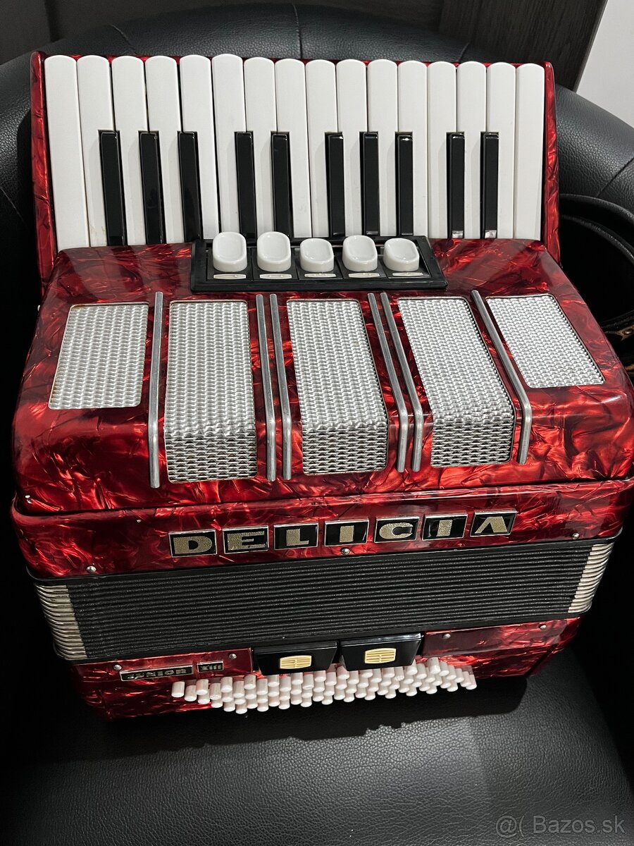 Predám akordeón Delícia Junior VIII. - 3