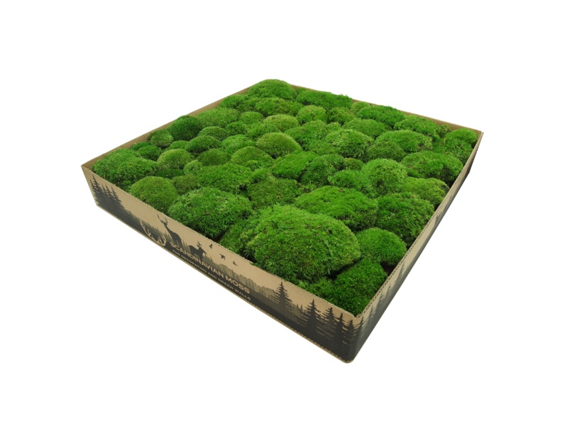 Stabilizovaný mach na výrobu vlastných obrazov - 3