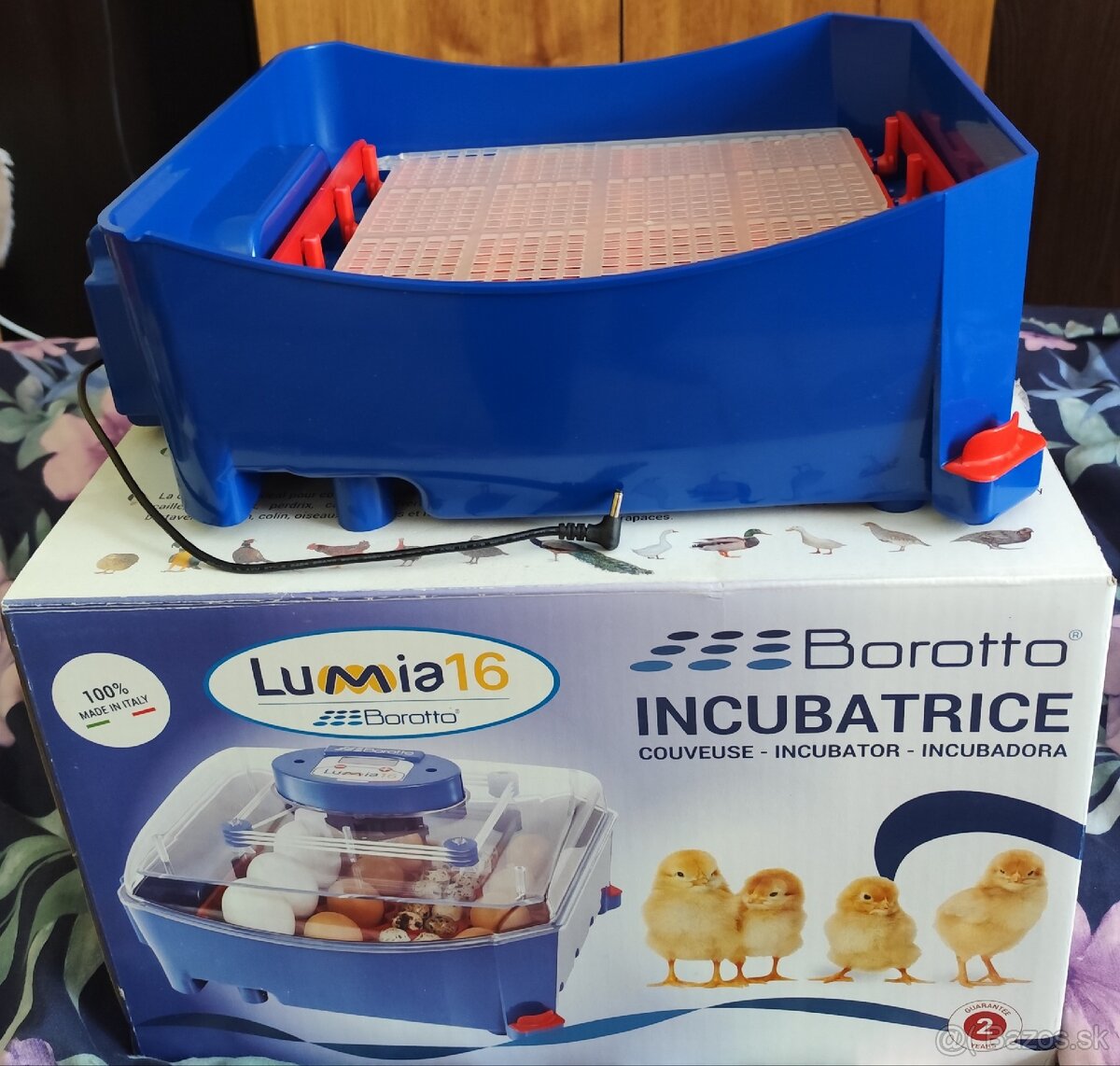 Liaheň Lumia 16 - 3