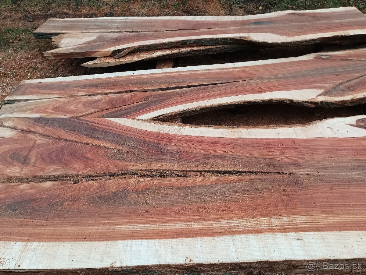 Brastové forsty - 3